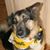 Lisa Thompson's profile image