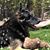 Helen Laibach's profile image