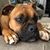 Janell Kruse James's profile image