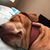 Luis Ruiz's profile image