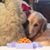 Debi Olivier's profile image