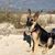 Pamela Jane's profile image