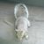 Jill Moser's profile image