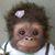 Linda Koch's profile image