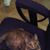 Mary Clark's profile image