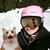 Julie Kramer's profile image