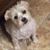 Juanita Hart's profile image