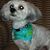 Vicki Jean Phelps Metten's profile image