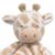 Stephanie A. Corsair's profile image