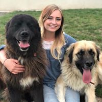 Lexi Poulson Pierson's profile image