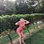Tabitha Ricci's profile image