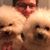 Lara Gordon Latshaw's profile image