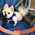 Sheila Bird's profile image