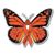 Debra McKinley's profile image