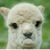 Kymberlii Henson's profile image