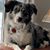 Rainey Smith's profile image