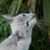 Frank Stallon's profile image