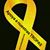 Celly Armas-Gonzalez's profile image