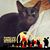 Gryffin Jane Linton's profile image