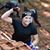 Heather Patrick's profile image