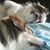 Anthony Bello's profile image