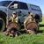 Spencer Wolfe's profile image