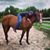 Jessica Marie Butler's profile image