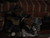 Phyl W.'s profile image