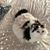 Karen O'Clair's profile image
