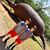 Amber Bradshaw Sanders's profile image