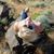 Ellie Bacon's profile image