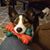 Tina Doerr's profile image
