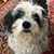 Aranza Rodriguez's profile image