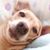 Paula Barlog's profile image
