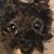 Michael Fetchko's profile image