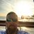 Scott Plecs's profile image