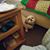 Michelle Sinko's profile image