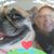 Sheila Aull's profile image