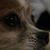 Elanor Clabough's profile image