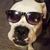 Ronnie Clark's profile image