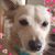 Carice Lamantia's profile image