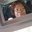 Lisa Eileen's profile image