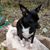 Judy Wallace Gard's profile image