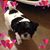 Neva Stubbs-Parker's profile image