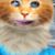 Hailey Alexander's profile image