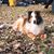 Julie Saxton's profile image
