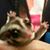 Dawn Stefanik's profile image