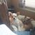 Dolores Guido's profile image