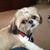 Mary Jo Macharoni Pearson's profile image