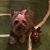 Marcia Cordeiro's profile image